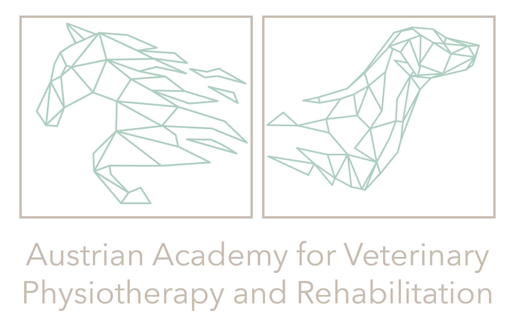 Vet Shockwave Academy